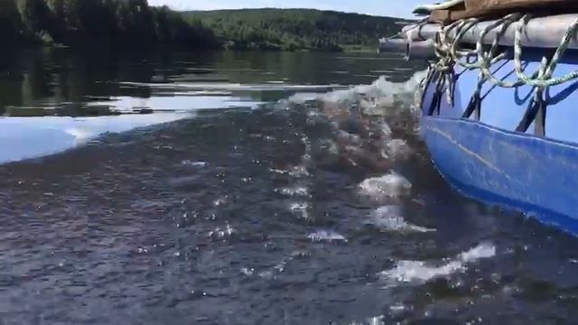 Сплав по реке Вишера (август 2019) смотреть онлайн