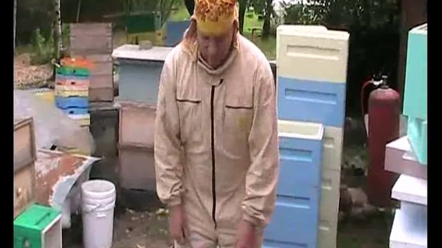 Улей Нижегородец Пчеловек смотреть онлайн