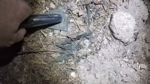 ЧЕРДАЧНЫЙ ПОИСК "ДОМ КУПЦА II ГИЛЬДИИ"