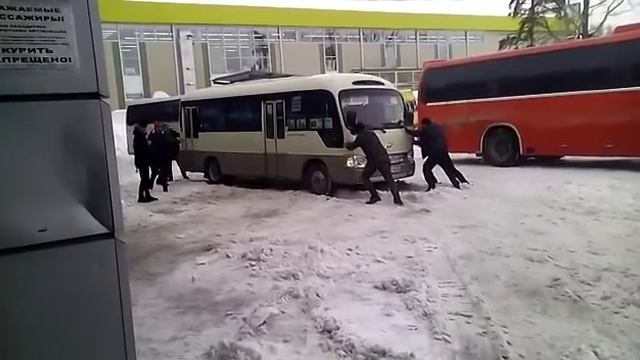 Автовокзал Бийск смотреть онлайн