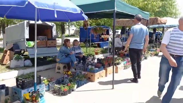Колхозный рынок в Георгиевске смотреть онлайн