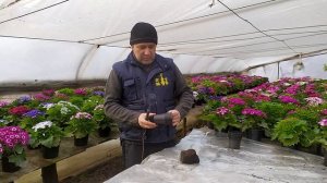 Быстрая нарезка полиэтиленового рукава. Делаем стаканчики для рассады цветов и овощей.