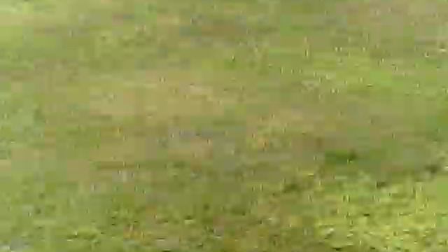 akaso x5c drone test flight смотреть онлайн