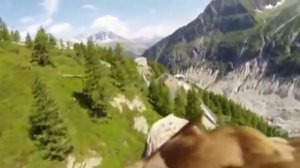 Песня Петя Петушок для детей