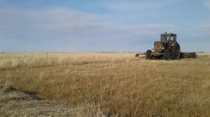 Сенакос 2020 октябрь