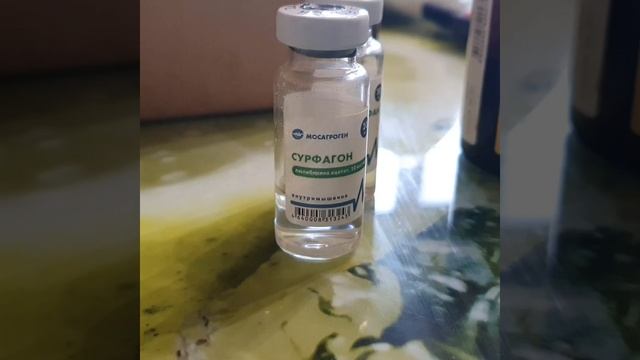 Корова не пришла в охоту? Как вызвать охоту у коровы? смотреть онлайн