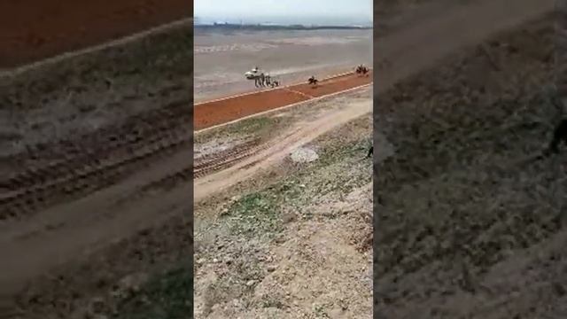 Бузкаши Улоки Гулистон Ипадром