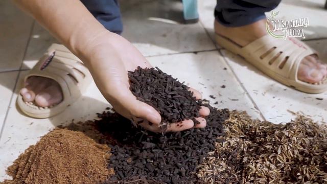 Ragam macam media tanam Anthurium #tanamanhias #budidayaanthurium смотреть онлайн