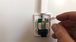Как обжать сетевую розетку