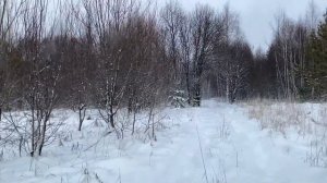 ОХОТА НА ЗАЙЦА С ПОДХОДА