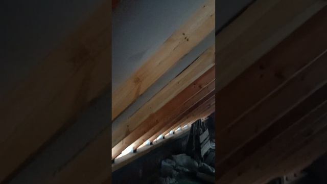 влажные стропильные ноги смотреть онлайн