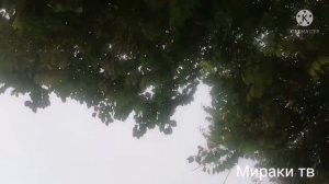 Шахрисабз навруз бог'и анонс/ Shahrisabz navro' z bog'i anons. 2021