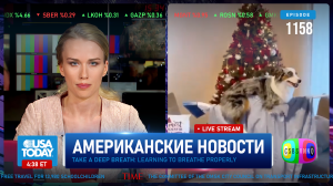 CSBSVNNQ Американские новости — выпуск #1158 от 09.12.2023