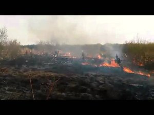 В Одинцово горит Лайковское кладбище!