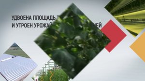 Ролик Сельское хозяйство