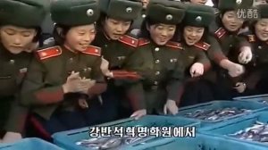 Армия Северной Кореи! НИЧЕГО НЕ НАПОМИНАЕТ?!