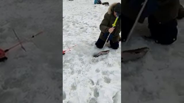 Каньон - рыбалка на форель. У нас клюëт!!!