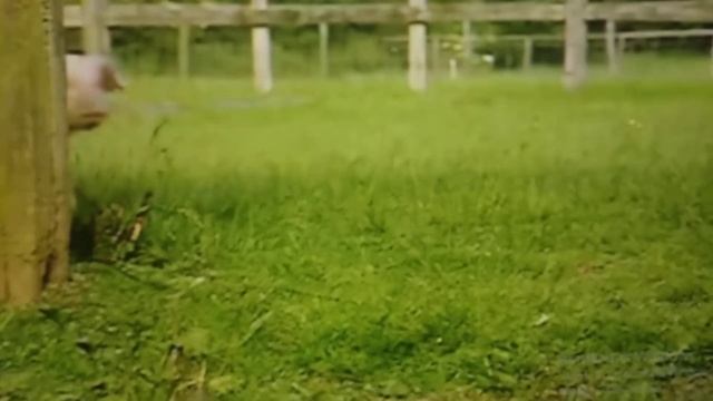 снеговик почтовик смотреть онлайн