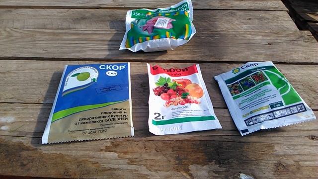 Английские розы. Лечение черной пятнистости. Серия 3 смотреть онлайн