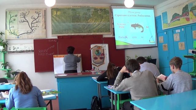 открытый урок "Строение клетки. Рибосомы" смотреть онлайн
