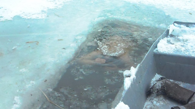 Моржевание смотреть онлайн