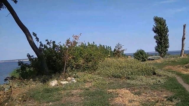 Что такое Сенгилей. Нашли новую набережную