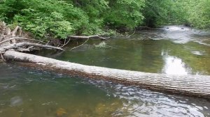 Рыбалка в Приморье. Река Муравейка. 14 - 16.06.2018 г.