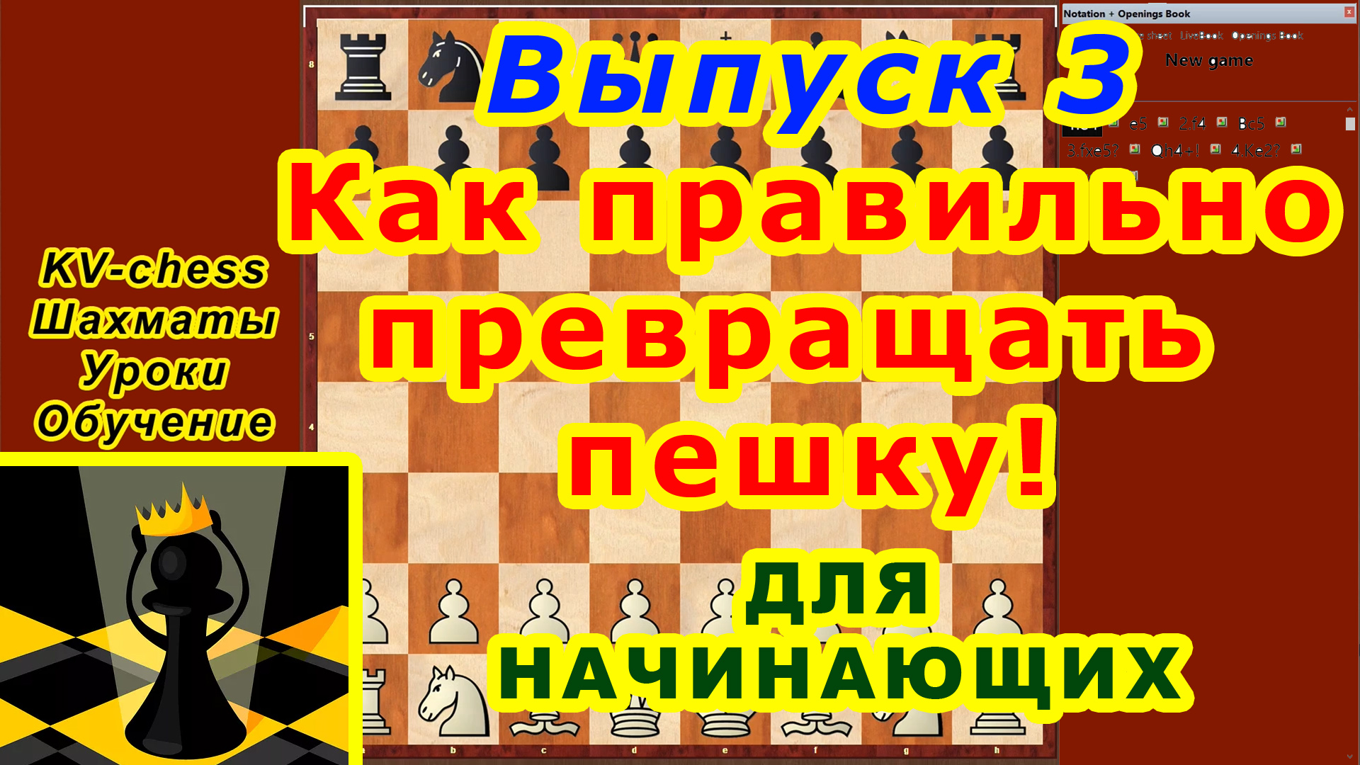 Обучение шахматам для начинающих. Правила шахмат для начинающих. Шахматы для начинающих обучение. Шахматы правила пешки. Как правильно играть в шахматы для начинающих.