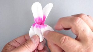 Origami 3D  cyclamen  / Origami flower 3D / Paper flower cyclamen  / aroma Japanese paper diffuser