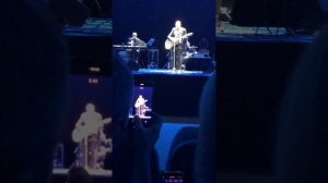 Розенбаум На ковре из желтых листьев Минск