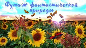 Футаж фантастической природы. Красивая музыка для души Эдгара Туниянца