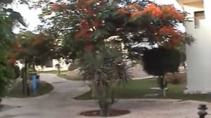 Смотреть Seagull Hotel & Resort 4★ Hotel Hurghada Egypt - Отель Сигал Хургада