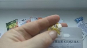 Подвои для арбуза, дыни и огурцов. На что прививать?