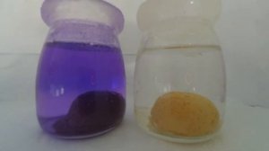 Выращиваем кристаллы, 20-ти дневный таймлапс