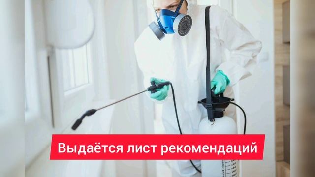 Оказываем услуги дезинфекции, демеркуризации и дератизации в родном городе Костоиукша. смотреть онлайн