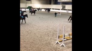 Horse Fails|| подборка || КСК Битца