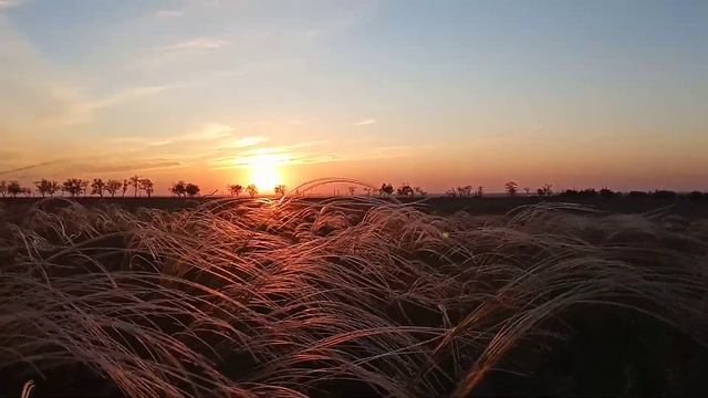 Тест видео на redmi 6 закат в поле смотреть онлайн