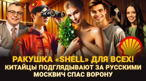 КИТАЙЦЫ ПОДГЛЯДЫВАЮТ ЗА РУССКИМИ / РАКУШКА «SHELL» ДЛЯ ВСЕХ / МОСКВИЧ СПАС ВОРОНУ / ШОУ ИЗВЕСТЬ #319