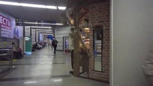 Сочи аэропорт обзор