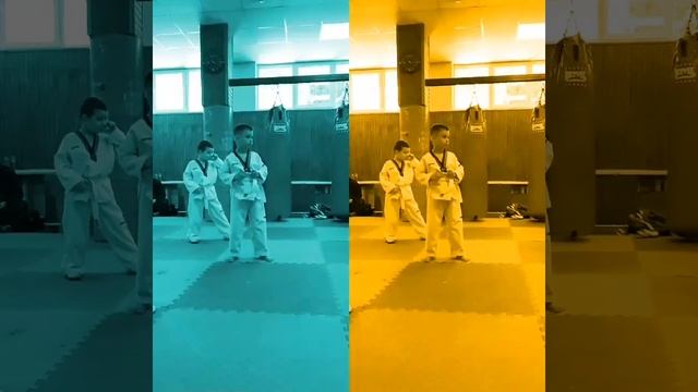 Здача на желтый пояс Тхэквондо смотреть онлайн