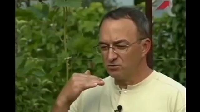 Альтернативный сад. Картофель. Органическое земледелие.