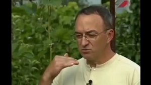 Альтернативный сад. Картофель. Органическое земледелие.