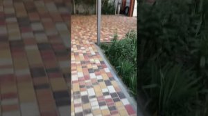 Кладка Тратуарной плитки старый город пять цветов