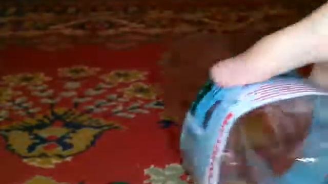 Обзор на самодельный сифон для аквариума (легко и просто ) , (сделать в домашних условиях за 5хв) смотреть онлайн