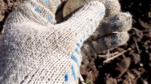 Перспективный фундамент. Шикарные находки. Шурф фундамента с Е-Trac