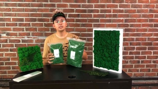 Стабилизированный мох - где купить и не ошибиться? смотреть онлайн