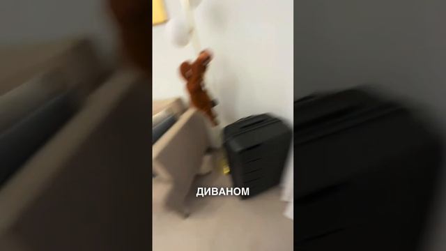 Мальчик: дарит цветы…. Мужчина : НАЙДИ МЕНЯ!!! @iaambaambi