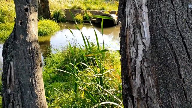 Как научиться замечать путеводные знаки на жизненном пути.
