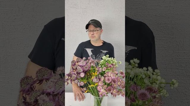 Астранция . Полезные советы и истории о цветах с Павлом Горбенко