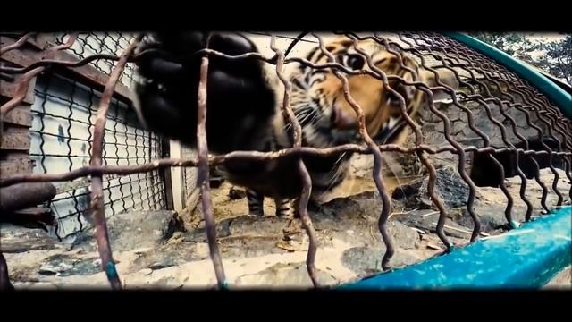 Олег Зубков."Тайгано-Сказочный" и самый нежный папа. смотреть онлайн